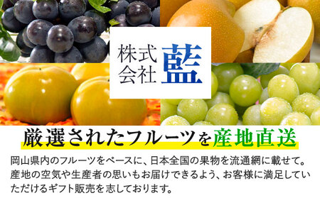白桃 ニューピオーネ 定期便 計2.15kg前後 株式会社藍【配送不可地域あり】