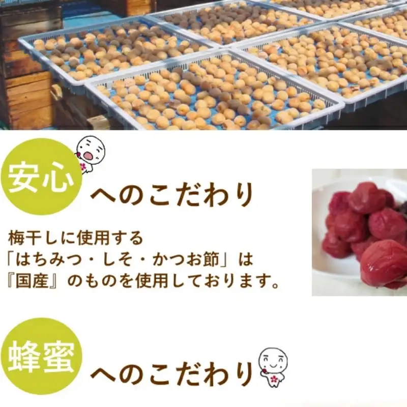 紀州南高梅 やわらか干し梅 はちみつ入り 80g（40g×2）個包装 / 和歌山 和歌山県産 田辺市 南高梅 干し梅 種なし はちみつ干し梅 柔らかい干し梅 個包装【nag001】