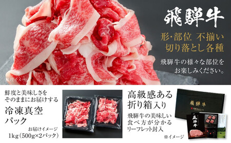 訳あり 飛騨牛 切落とし 1kg(500g×2パック) 冷凍真空パック MZ035VC13