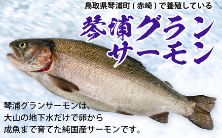 【訳あり】 国産 とっとり琴浦グランサーモン刺身用 400ｇ いくら付 小分け個包装で便利