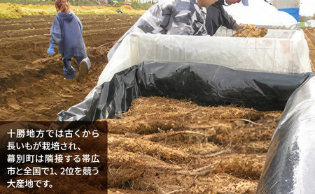 北海道 十勝の大地が育てたシャキシャキ食感と強い粘り 幕別産 長いも 2Lサイズ 5kg［木川商店］【 長いも 長芋 ながいも ナガイモ とろろ 芋 いも 野菜 10kg 5kg  産地直送 旬 濃厚 北海道 十勝 幕別 】