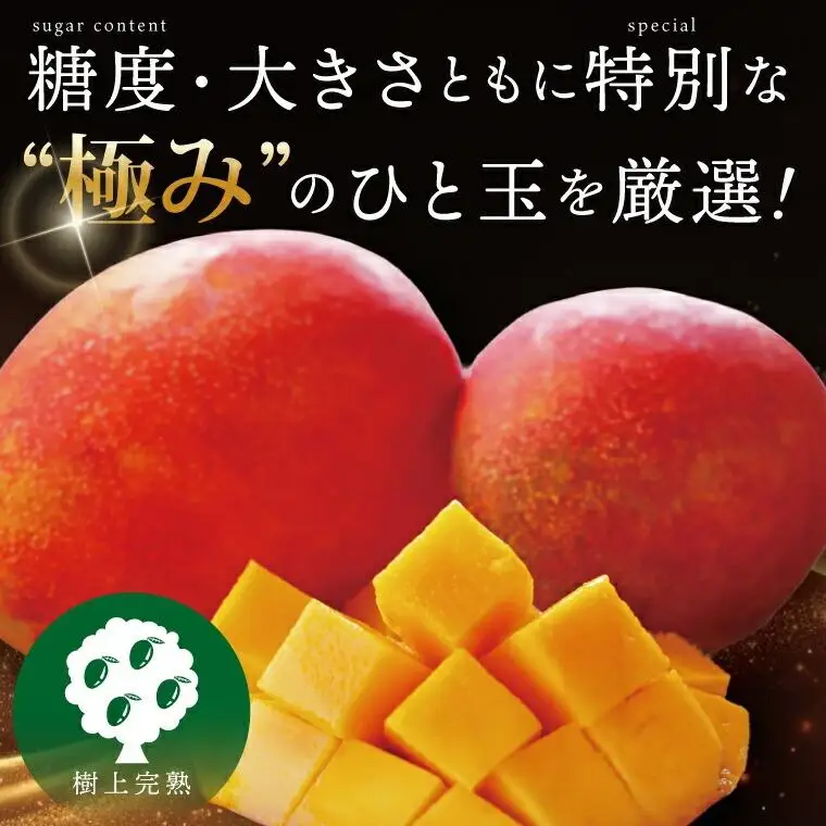豊見城産マンゴー『殿内之宝(どぅんちのたから)・極』約2kg 