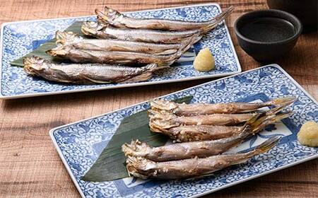 北海道産 本ししゃも使用「レンちん君」ししゃもオス・メスセット 電子レンジOK 焼き魚 冷凍惣菜 個包装 時短 おかず ギフト 北海道グルメ F4F-9232