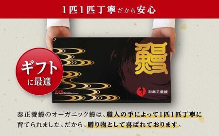 泰正オーガニックうなぎ蒲焼　特特大4尾合計800g以上