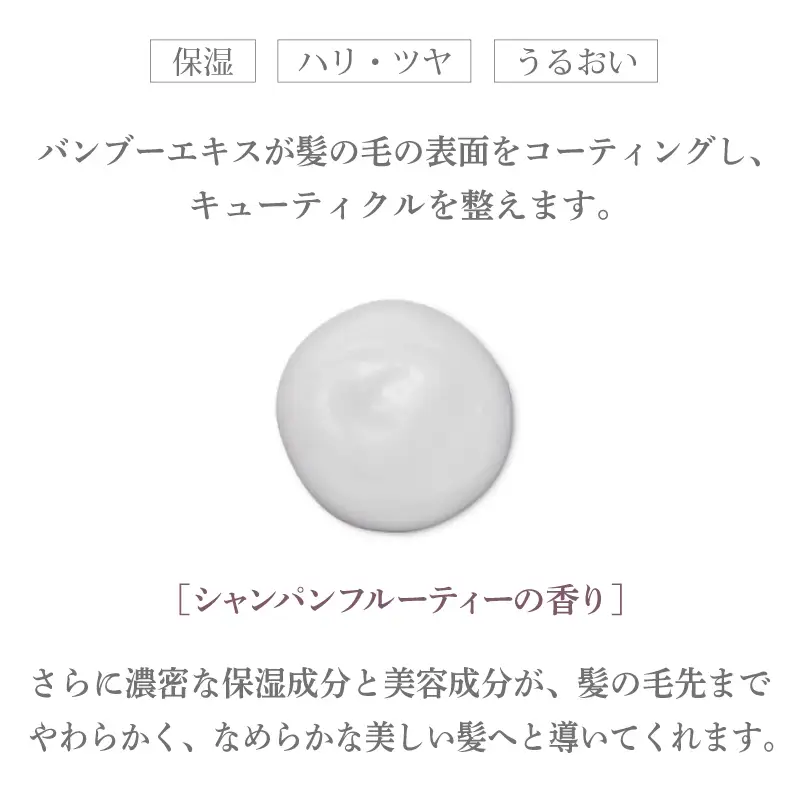 アリスベル トリートメントボーテレパラトリス 380g シャンパンフルーティーの香り
