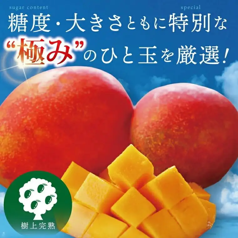 豊見城産マンゴー『殿内之宝(どぅんちのたから)』約2kg(ご家庭用)