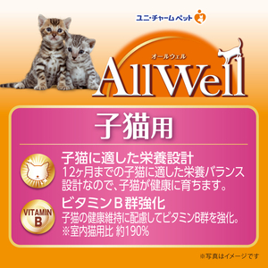 AllWell 健康に育つ子猫用 フィッシュ味 1.6kg×2袋 ペットフード