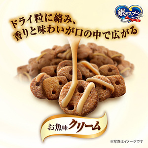 銀のスプーン 三ツ星グルメ お魚味クリーム 香るお魚仕立て 15歳頃から セット ペットフード