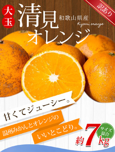 大玉清見オレンジ 【訳あり】  約7kg 【北海道・沖縄・離島配送不可】【2026年2月上旬～5月下旬頃に順次発送】【BV-mrmt077】