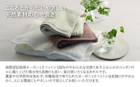 やわふわ甘撚りオーガニック フェイスタオル(ココアブラウン×6枚) 【m100-22-6P-A】【トクダ】