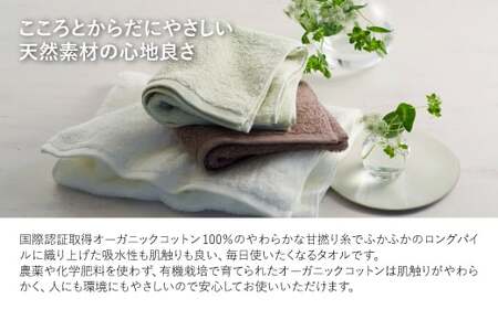 やわふわ甘撚りオーガニック フェイスタオル(オフホワイト×6枚) 【m100-22-6P-C】【トクダ】