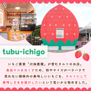 No.1316 いちごのタルトアソートセット(6種) 国産 スイーツ ケーキ タルト デザート いちご イチゴ 苺 菓子 お菓子 冷凍 ご褒美 プチ贅沢 ギフト 贈答品 ホワイトデー【tubu-ichigo】