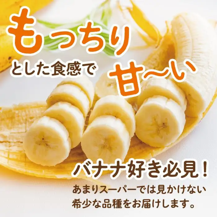 高原の駅なんじょうバナナ3～4房（12品種から旬のものを詰合せ）   