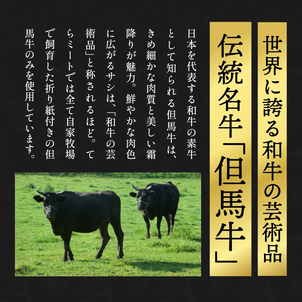 てらミート特製 但馬牛煮込みハンバーグ5個入 〈丹波市〉 牛肉 惣菜