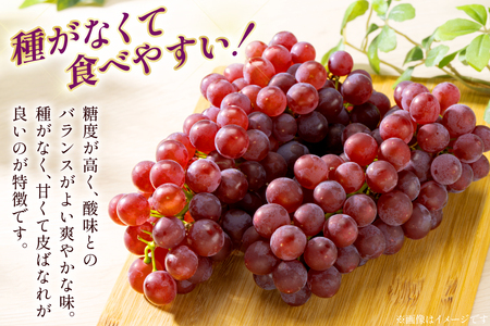 【期間限定発送】 デラウェア 秀品 5～8房 約 1kg [治右衛門果樹園 山形県 高畠町 tk06ays830010]