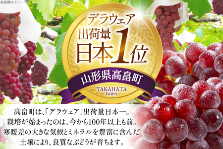 【期間限定発送】 家庭用 訳あり デラウェア 8～12房 約1kg [いわた果樹園 山形県 高畠町 tk06ayt400006]
