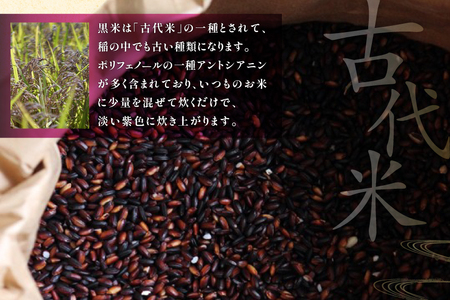 古代米 令和7年産 石川県産 黒米 200g x 2袋 計400g 国産 無農薬 [農事組合法人かさの郷 石川県 津幡町 tb17bgj610000] 