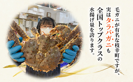オホーツク枝幸 極上浜茹で！旨み溢れる 極太・肉厚 塩茹で タラバガニ脚 食べ応え抜群 約1.5kg［瀧源商店］【 かに カニ 蟹 タラバガニ たらば蟹 ボイル 茹で 海産物 海鮮 魚介 お取り寄せ 贈答 ギフト 北海道 オホーツク 枝幸町 】