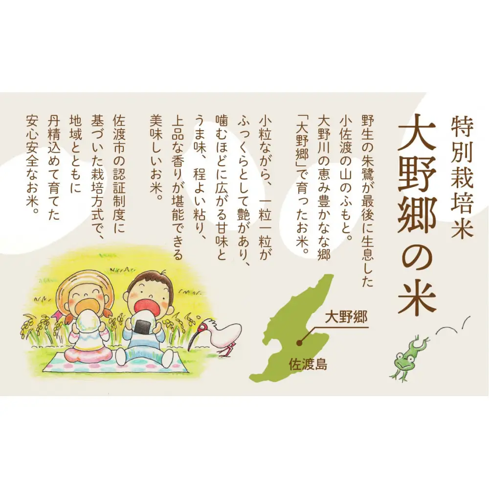 【令和７年産】佐渡島産 特別栽培米こしひかり「大野郷の米」精米5kg×6回 定期お届けコース