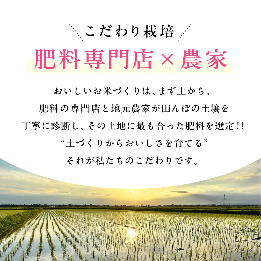 【 令和7年産 】 I LOVE お米 ！ わくわく 食べ比べ セット 《 精米 》 合計10kg (各5kg)（茨城県共通返礼品 かすみがうら市産） ミルキークイーン コシヒカリ あきたこまち にじのきらめき 米 ごはん もっちり 甘い コメ 銘柄米 [EX021sa]