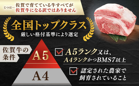 佐賀牛 焼肉セット C モモ ウデ 約500g 【JAさが 杵島支所】[HAM093]