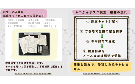 ネコ がんリスク検査【大切な家族のために】 ペット 検査キット 早期発見 岐阜市 / 株式会社e-NA Biotec[ANHE001]