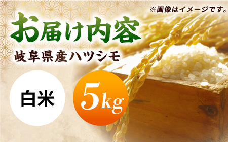 令和7年産 ハツシモ 白米 5kg 精米 米 ブランド米 岐阜市 / 川瀬ファーム[ANIB001]