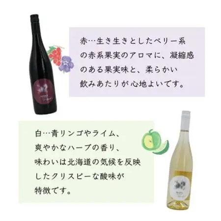 MARO Wines ワイン 赤と白 計2本セット【配送不可地域：離島】【1626784】