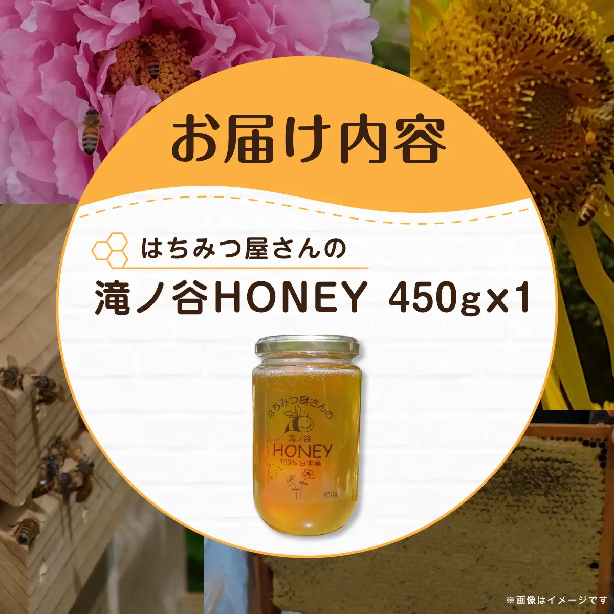 はちみつ屋さんの滝ノ谷HONEY 450g×1  MBAW003