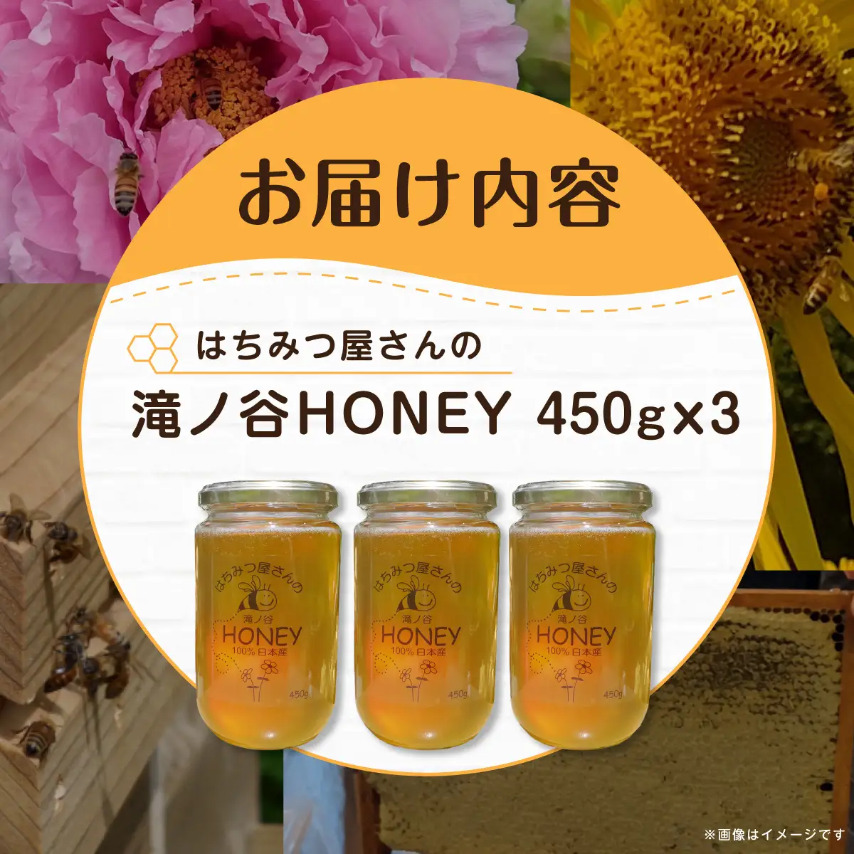 はちみつ屋さんの滝ノ谷HONEY 450g×3  MBAW004