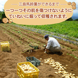 みしま コロッケ 80個 三島馬鈴薯 ご当地 コロッケ