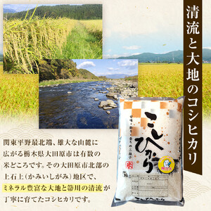【寄附額を見直しました！】令和7年産 大田原市 藤田farmのコシヒカリ 【無洗米】 10kg ｜栃木県産 米 お米  コメ こしひかり コシヒカリ 栃木県 【選べる容量】5kg 10kg  数量限定