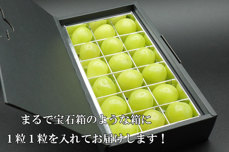 【令和８年度先行予約】《厳選・宝石箱》シャインマスカットひと口BOX(18粒入り・約200g)※冷蔵発送※　シャイン マスカット ぶどう 葡萄 ブドウ 房なし 粒シャイン 粒のみ 粒だけ くだもの 果物 フルーツ 山梨 やまなし 富士川町
