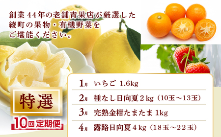 【全10回お届け】特選！！宮崎県綾町産 果物・野菜定期便 [Y21]_0113-004