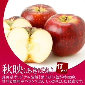 ＜26年10月頃～発送 先行予約＞長野県産 りんご 秋映 訳あり 約3kg リンゴ 旬 フルーツ 訳アリ 林檎 果物 規格外 自家用 産地直送 農園 産直 お取り寄せ もぎたて 採れたて 送料無料 堀田農園 信州 大町市