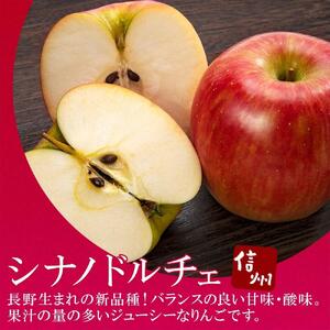 ＜26年９月中旬頃～発送 先行予約＞長野県産 りんご シナノドルチェ 訳あり 約3kg リンゴ 旬 フルーツ 訳アリ 林檎 果物 規格外 自家用 産地直送 農園 産直 お取り寄せ もぎたて 採れたて 送料無料 堀田農園 信州 大町市
