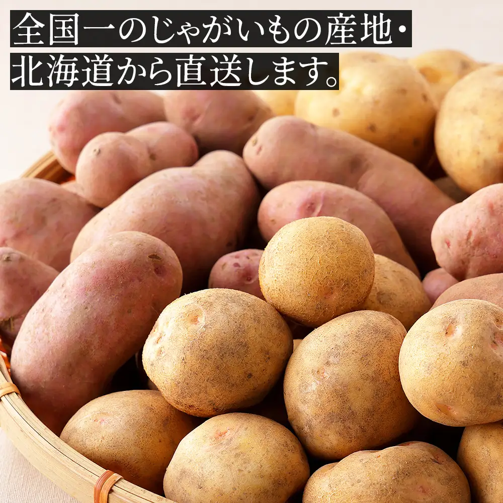 2026年産 先行予約 北海道産 おまかせ じゃがいも 4種セット 計10kg（2.5kg×4種） 北海道 上士幌町 加藤農場 野菜 ジャガイモ 馬鈴薯 産地直送 ◆2026年12月配送予定