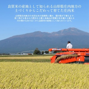 SA2961　令和7年産【精米】特別栽培米 つや姫　5kg×1袋 《農産物検査員おすすめの庄内米》 SY
