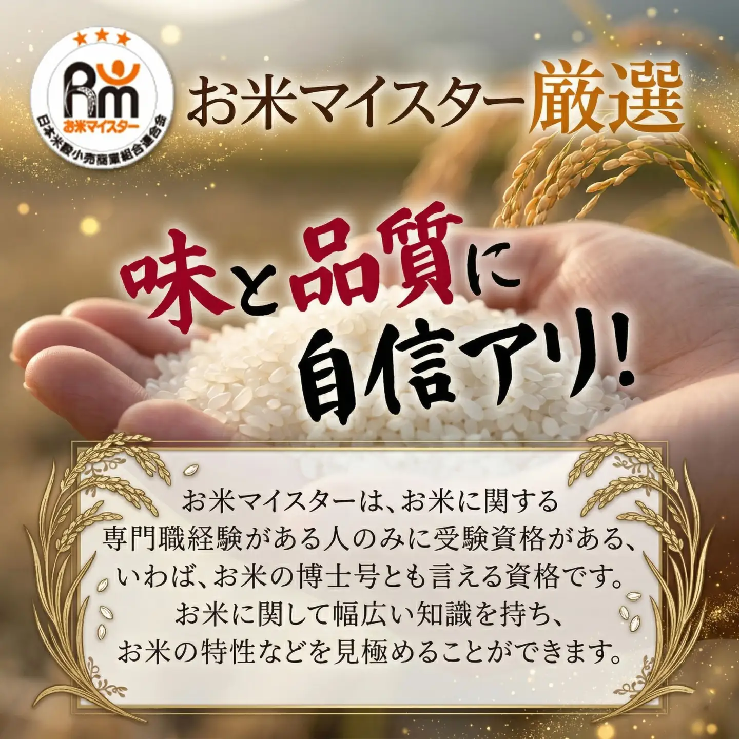 スピード発送!! （最短2日~7日程度で発送） 茨城県 筑西市産 にじのきらめき 5kg ( 障がい者アート パッケージ )