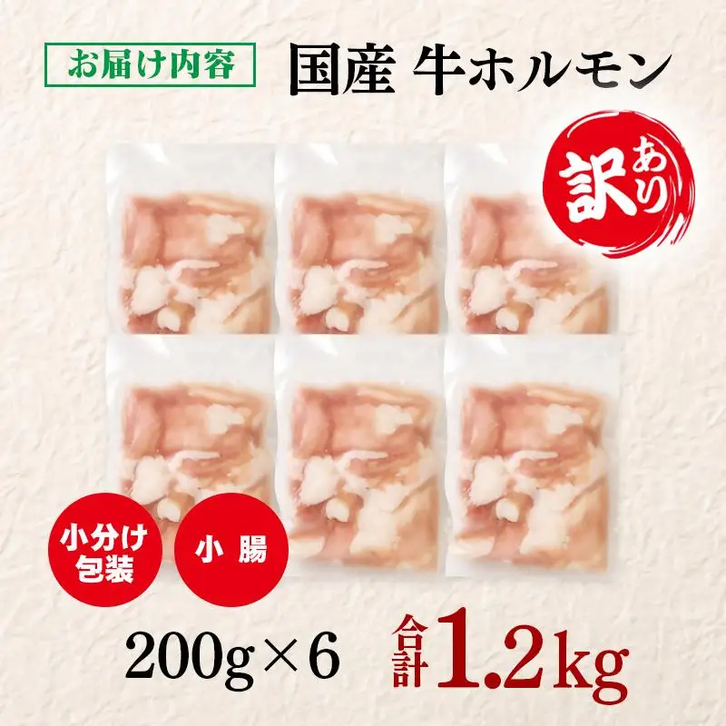 訳あり牛ホルモン1.2㎏ 小分け200g×6 国産 ホルモン もつ鍋 焼肉用 国産牛 牛モツ コラーゲン＜58-48a＞