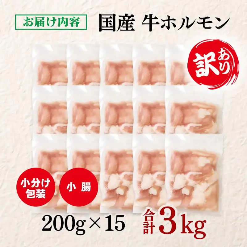 訳あり牛ホルモン3㎏ 小分け200g×15 国産 ホルモン もつ鍋 焼肉用 国産牛 牛モツ コラーゲン＜58-50a＞