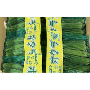 オクラ　約1.4kg
