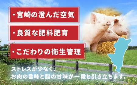宮崎県産豚モモスライス 400g×5パック 計2kg_K049-004