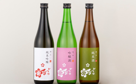 《定期便》純米吟醸･吟醸･純米酒 華やか＆やや辛口日本酒3本【3回お届け】