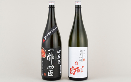 《定期便》香り豊かな純米吟醸･吟醸酒のプチ贅沢一升瓶2本【6回お届け】