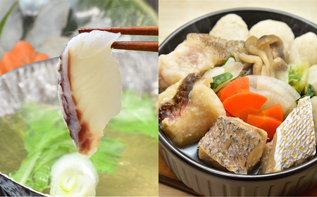 《定期便》旬の九十九島高島美食めぐり【6回お届け】