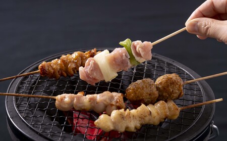 九州産焼き鳥定番6種セット