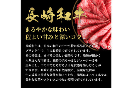 AI268 長崎和牛 すき焼き しゃぶしゃぶ ロース 300g [ 肉 和牛 牛肉 牛Giverichホールディングス 長崎県 島原市 ]