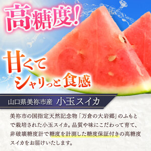 甘くて 果肉 たっぷり！ 大岩 こだま スイカ 1玉 「 神秘の里 大岩郷 よりお届け 長州の紅い宝石 」 先行予約 ＜ 2026年 7月下旬 ～ 8月頃 発送予定 ＞