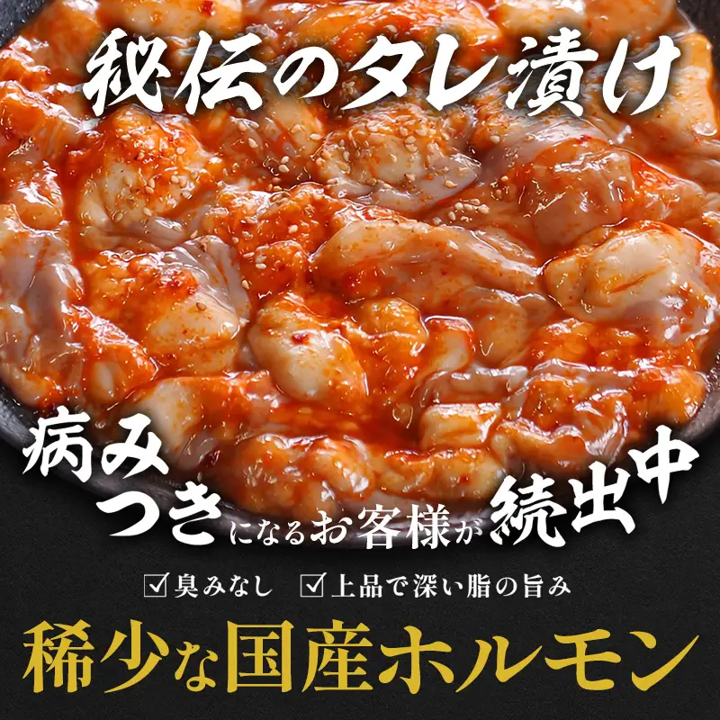 霜降り 極みトロホルモン 600g 秘伝のタレ付き